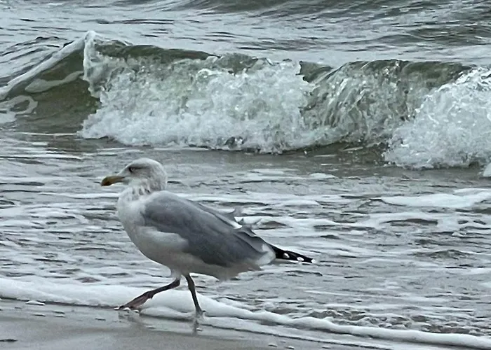 Fh Kormoran * Karlshagen